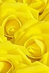 25pcs. Real Touch Foam Roses RT-025