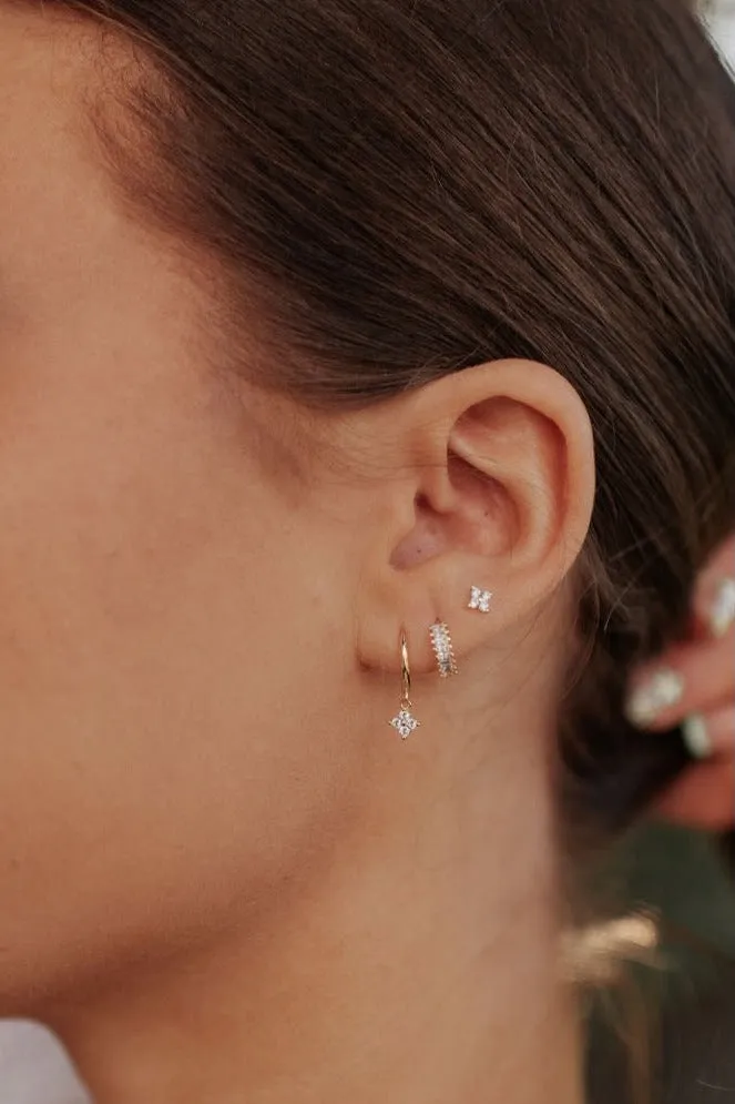 Margot Hoops