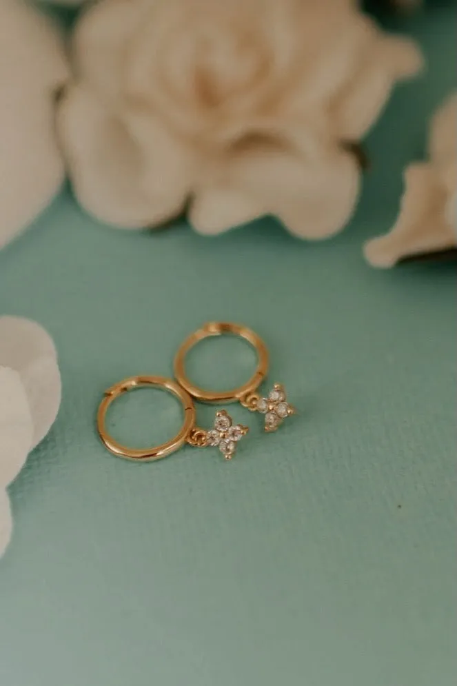 Margot Hoops