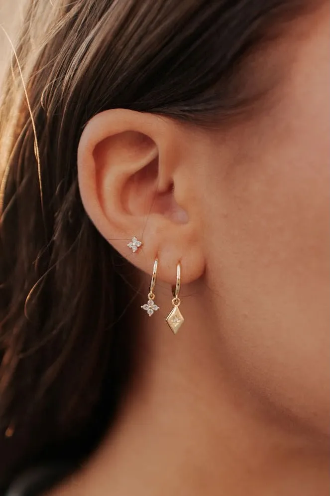 Margot Hoops