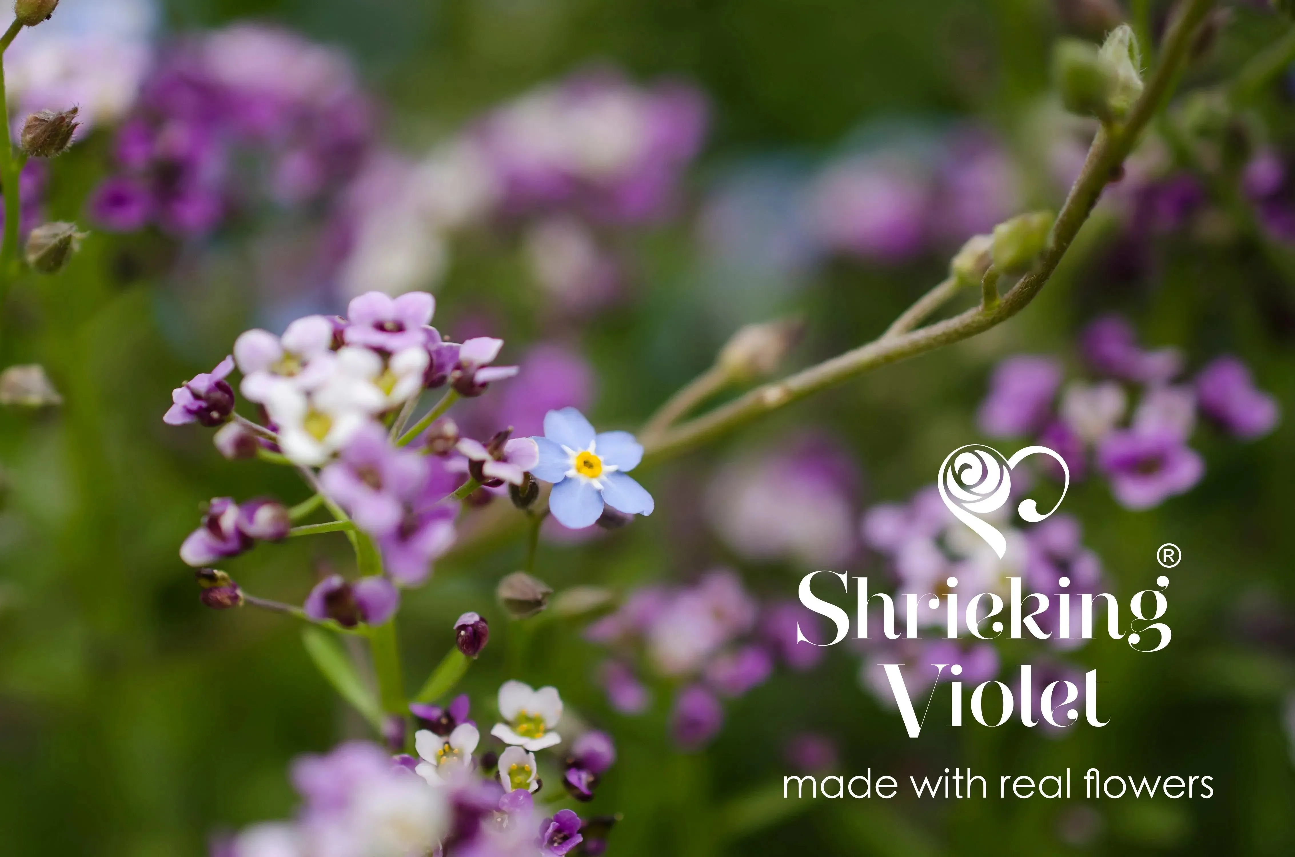 Real flower necklace. Sterling silver oval pendant for gardener, florist, nature lovers