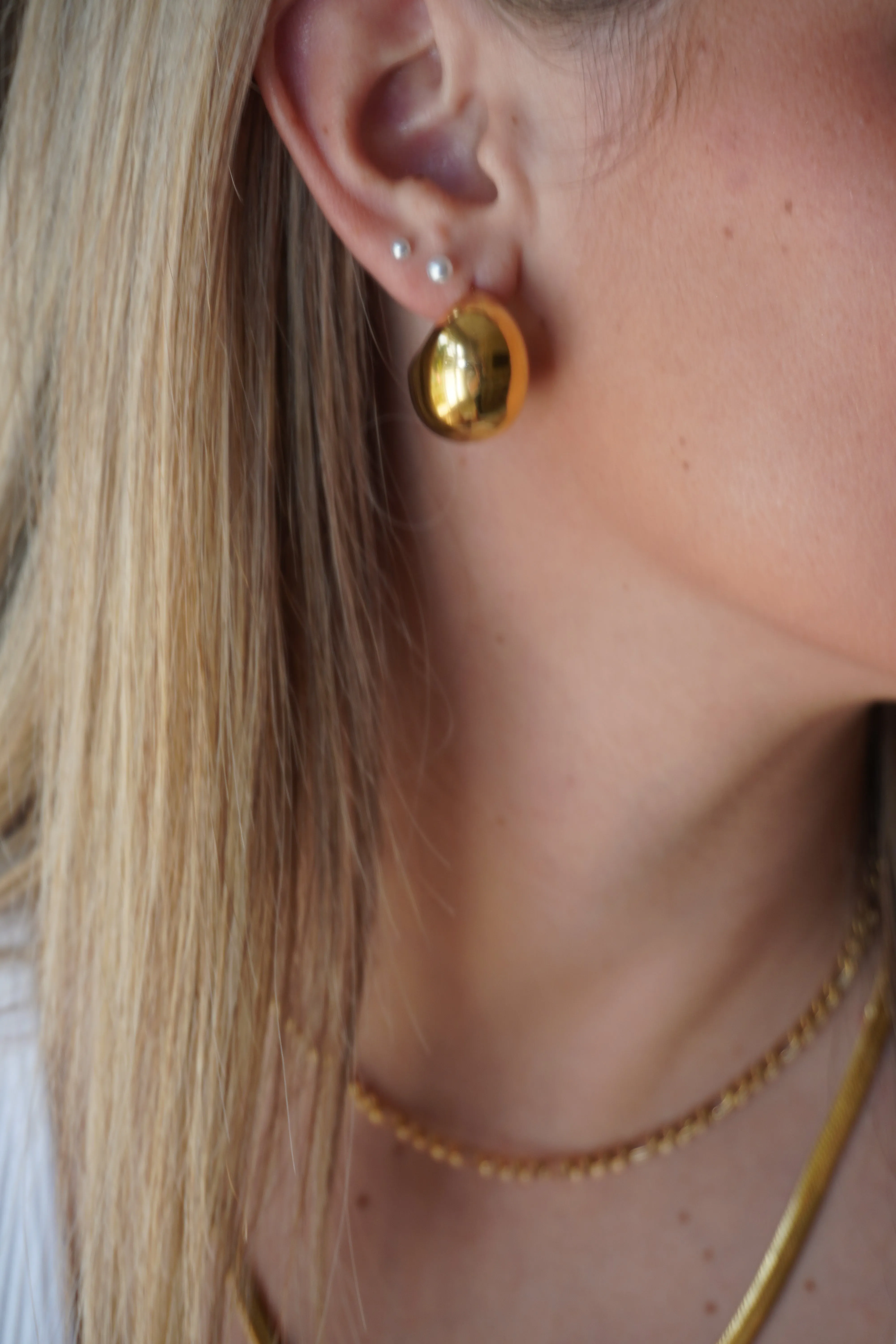 Shelley Hoops