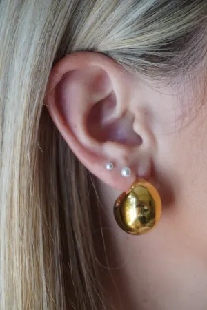 Shelley Hoops